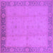 Square Oriental Purple Traditional Rug, urb470pur