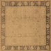 Square Oriental Brown Industrial Rug, urb474brn