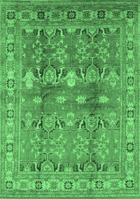 Oriental Emerald Green Traditional Rug, urb514emgrn