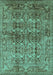 Oriental Turquoise Traditional Rug, urb517turq