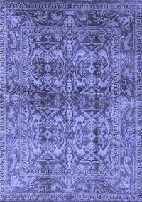Oriental Blue Traditional Rug, urb517blu