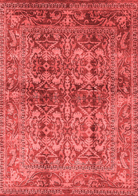 Oriental Red Traditional Rug, urb517red