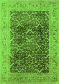 Oriental Green Traditional Rug, urb525grn