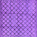 Square Solid Purple Modern Rug, urb529pur