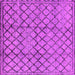 Square Solid Pink Modern Rug, urb529pnk