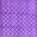 Square Machine Washable Solid Purple Modern Area Rugs, wshurb529pur