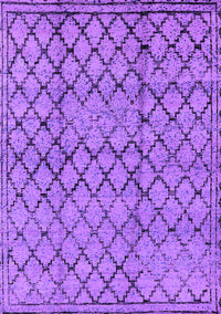 Solid Purple Modern Rug, urb529pur