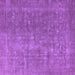 Square Machine Washable Oriental Purple Industrial Area Rugs, wshurb554pur