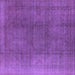 Square Oriental Purple Industrial Rug, urb566pur