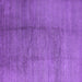 Square Machine Washable Solid Purple Modern Area Rugs, wshurb595pur
