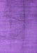 Solid Purple Modern Rug, urb595pur