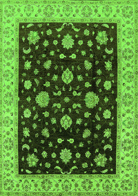 Oriental Green Traditional Rug, urb605grn