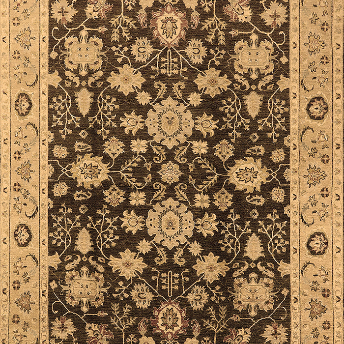 Oriental Brown Traditional Rug, urb608brn