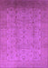 Oriental Purple Traditional Rug, urb615pur