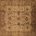 Square Oriental Brown Traditional Rug, urb627brn