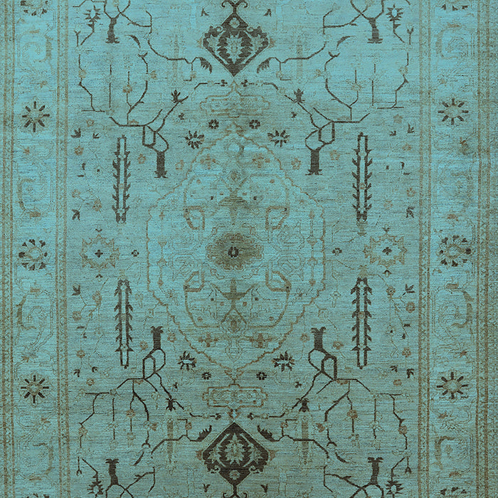 Oriental Light Blue Traditional Rug, urb685lblu