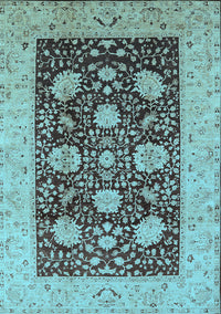 Oriental Light Blue Traditional Rug, urb696lblu