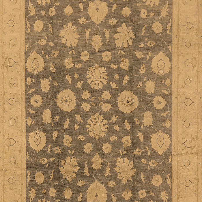 Oriental Brown Traditional Rug, urb753brn