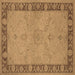 Square Oriental Brown Traditional Rug, urb754brn