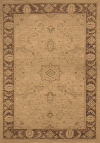 Oriental Brown Traditional Rug, urb754brn
