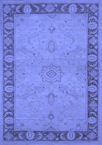 Oriental Blue Traditional Rug, urb754blu