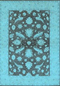 Oriental Light Blue Traditional Rug, urb756lblu
