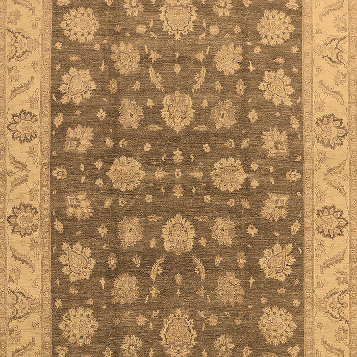 Oriental Brown Traditional Rug, urb766brn