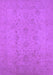 Oriental Purple Traditional Rug, urb786pur