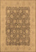 Machine Washable Oriental Brown Traditional Rug, wshurb792brn