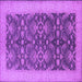 Square Machine Washable Oriental Purple Traditional Area Rugs, wshurb793pur