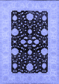 Oriental Blue Traditional Rug, urb799blu