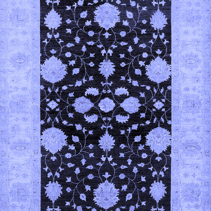 Oriental Blue Traditional Rug, urb799blu