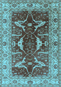 Oriental Light Blue Traditional Rug, urb810lblu