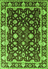 Oriental Green Traditional Rug, urb868grn