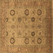 Square Oriental Brown Traditional Rug, urb871brn