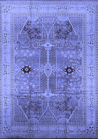 Oriental Blue Traditional Rug, urb873blu