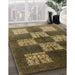 Machine Washable Industrial Modern Sepia Brown Rug in a Family Room, wshurb885