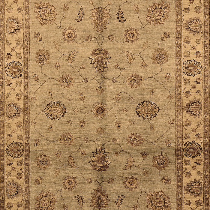Oriental Brown Traditional Rug, urb891brn
