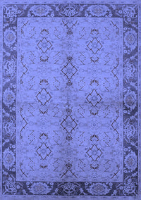 Oriental Blue Traditional Rug, urb892blu