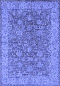 Oriental Blue Traditional Rug, urb913blu