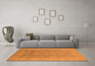 Machine Washable Oriental Orange Industrial Area Rugs in a Living Room, wshurb915org