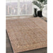 Machine Washable Industrial Modern Gold Brown Rug in a Family Room, wshurb940