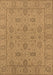 Oriental Brown Traditional Rug, urb976brn