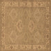 Square Machine Washable Oriental Brown Traditional Rug, wshurb994brn