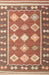 Machine Washable Contemporary Sandy Brown Rug, wshcon1006