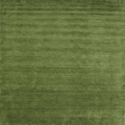 Contemporary Seaweed Green Modern Rug, con101