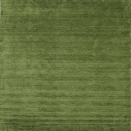 Sideview of Machine Washable Contemporary Seaweed Green Rug, wshcon101