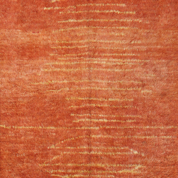 Contemporary Neon Orange Modern Rug, con1020