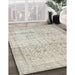 Contemporary Camel Brown Modern Rug in Family Room, con1023