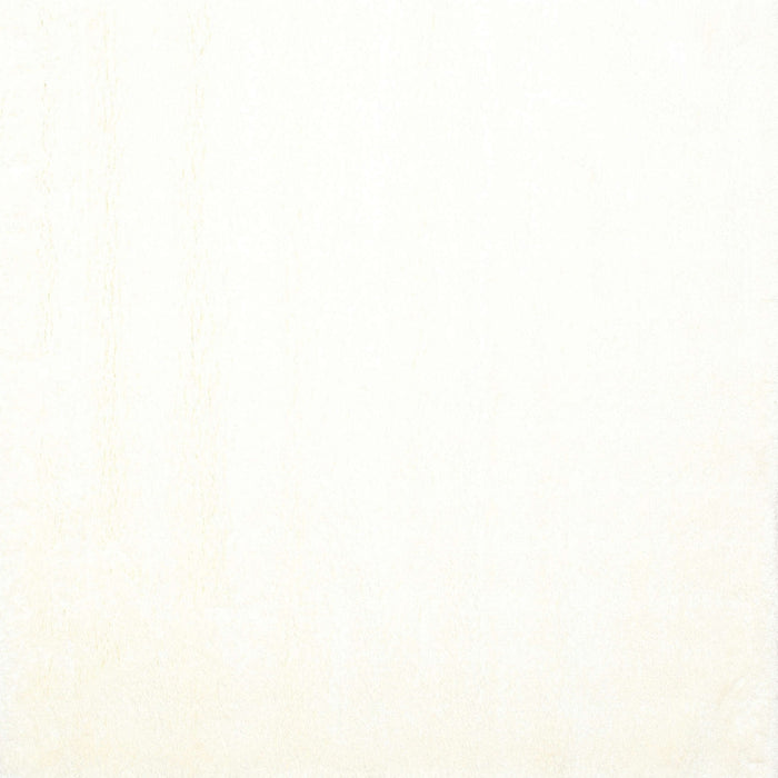 Machine Washable Contemporary Ivory White Rug, wshcon1024